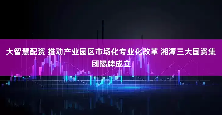 大智慧配资 推动产业园区市场化专业化改革 湘潭三大国资集团揭牌成立