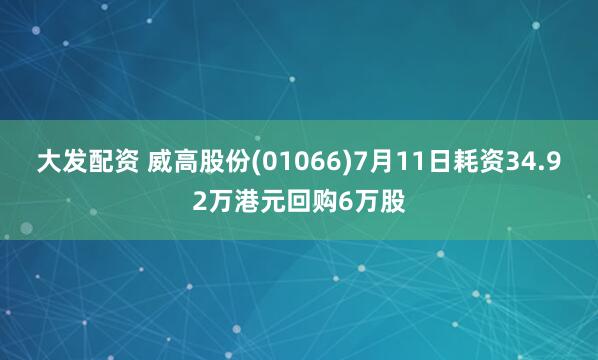 大发配资 威高股份(01066)7月11日耗资34.92万港元回购6万股